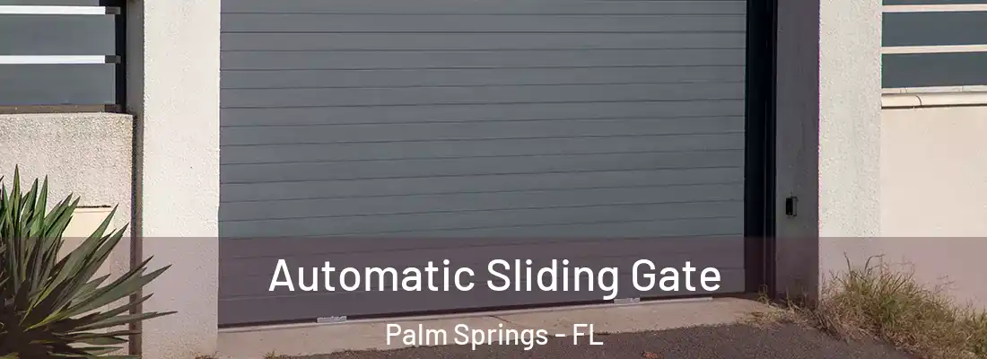  Automatic Sliding Gate Palm Springs - FL