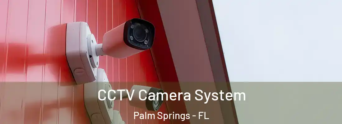 CCTV Camera System Palm Springs - FL