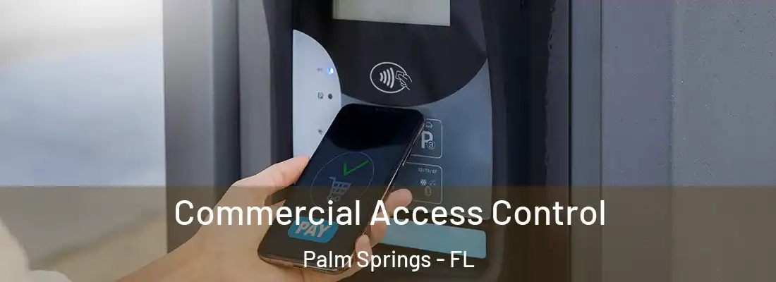 Commercial Access Control Palm Springs - FL