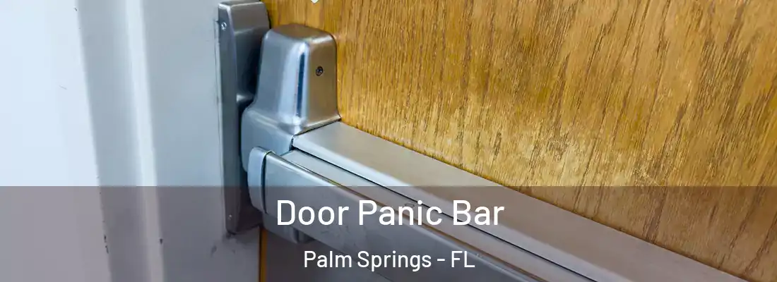 Door Panic Bar Palm Springs - FL