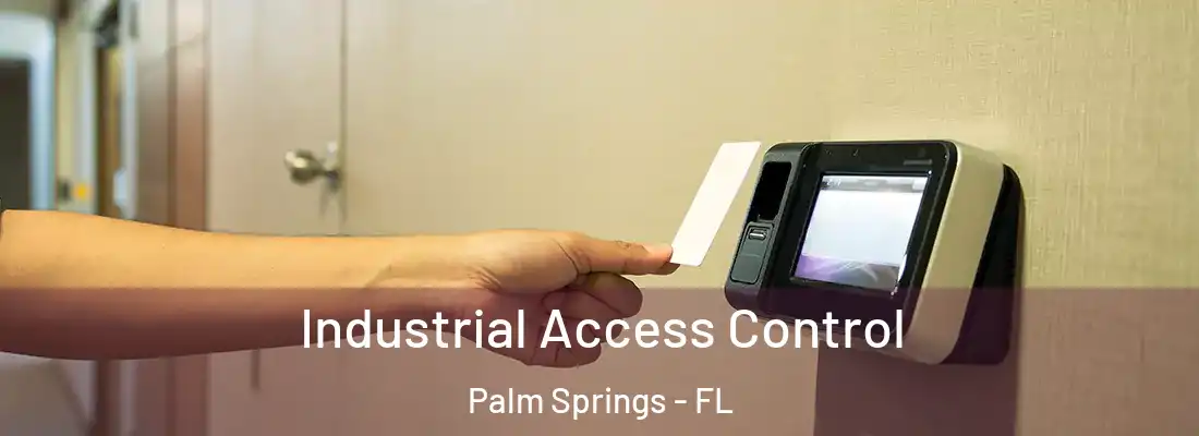 Industrial Access Control Palm Springs - FL