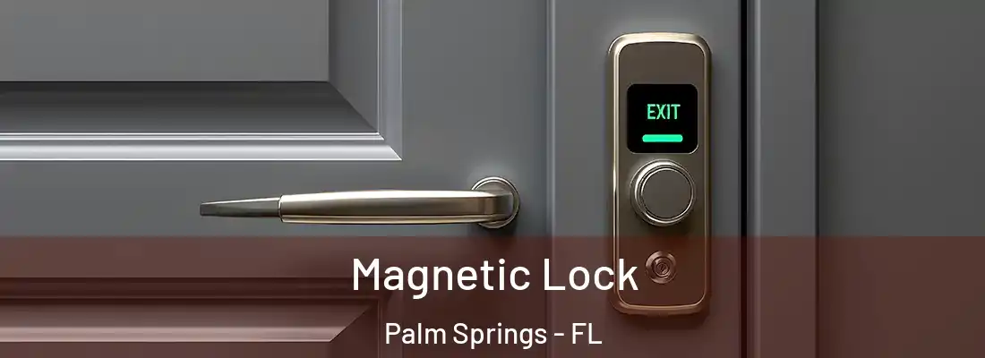 Magnetic Lock Palm Springs - FL